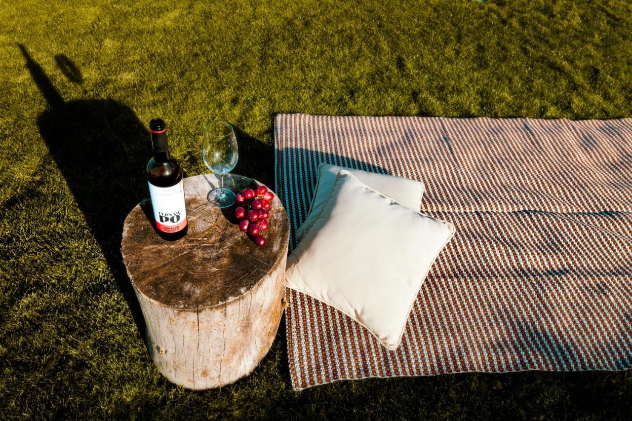 Delmira Vineyard House Villa Águas de Moura Dış mekan fotoğraf