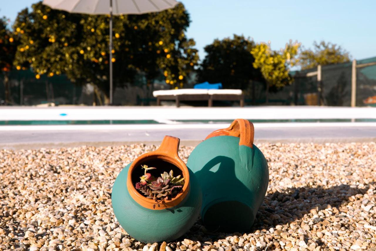 Delmira Vineyard House Villa Águas de Moura Dış mekan fotoğraf