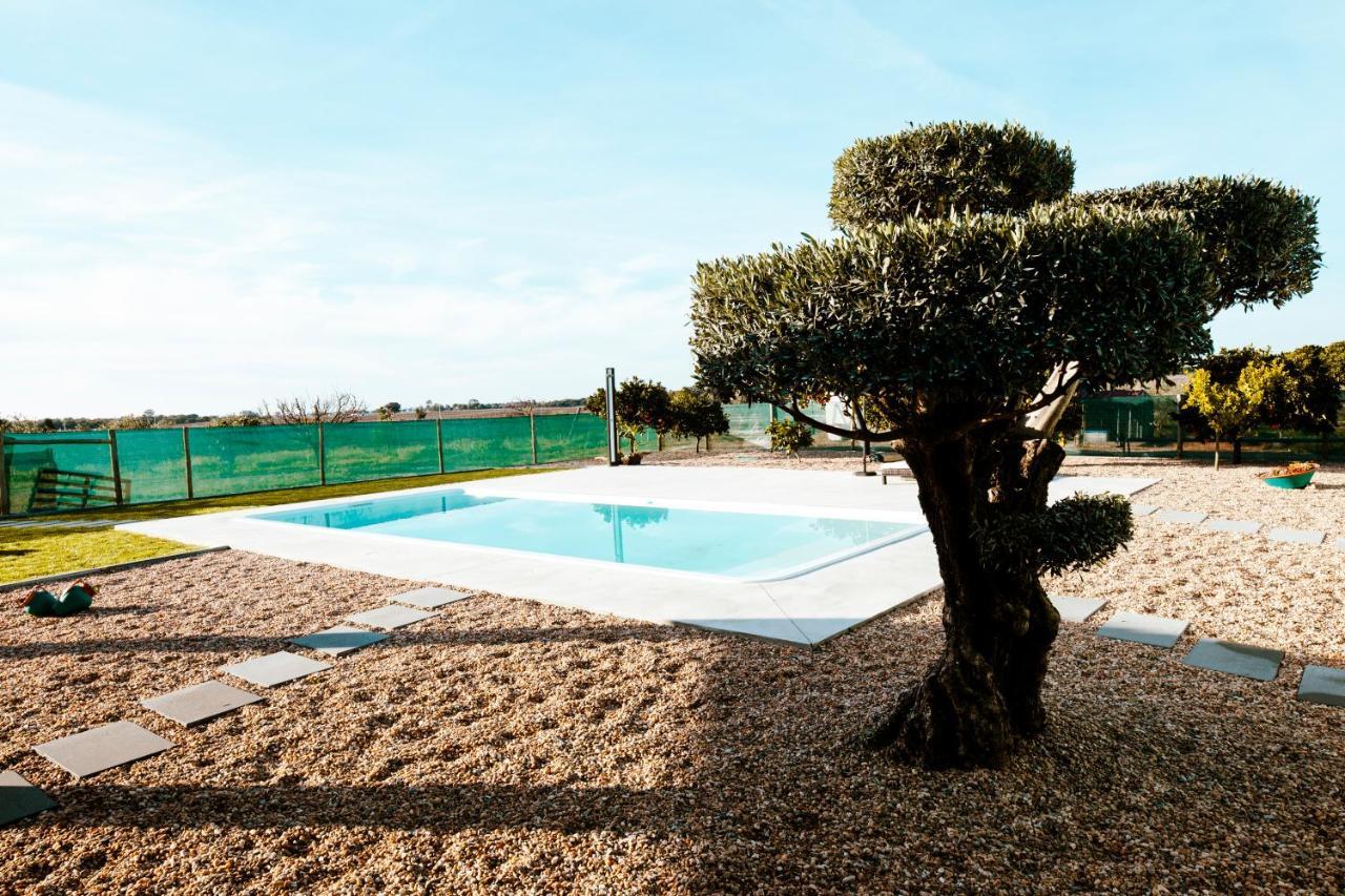 Delmira Vineyard House Villa Águas de Moura Dış mekan fotoğraf