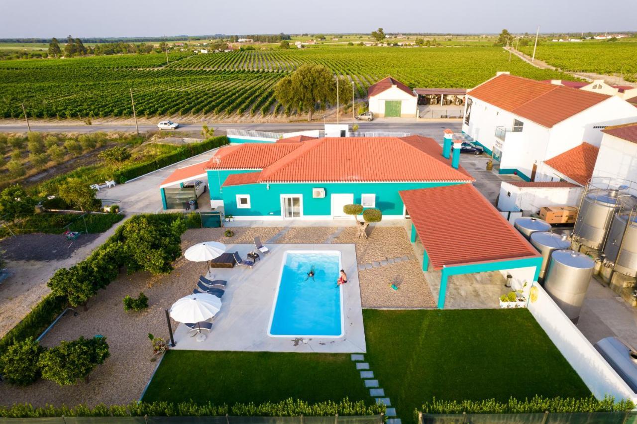 Delmira Vineyard House Villa Águas de Moura Dış mekan fotoğraf